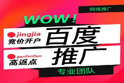 揭秘sem百度竞价背后的成功秘诀与案例