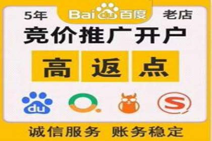 案例解读：SEM推广代运营公司如何助力品牌崛起